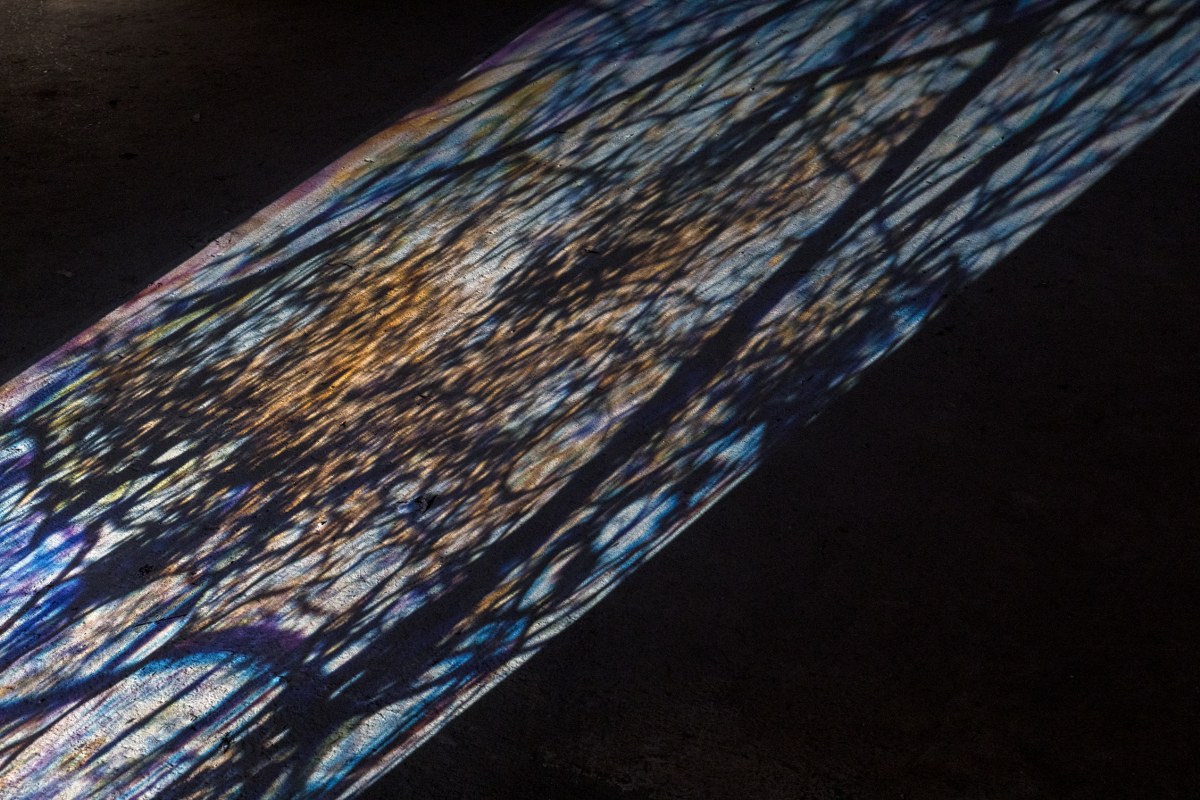 Sara Foerster. LICHTSTROM Ingolstadt 2021. Photo Jennifer Braun (2)_1200x800