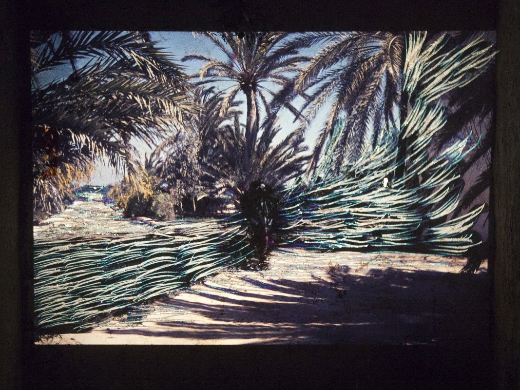 Sara Foerster. SEE DJERBA 2017. Photo Sara Foerster_1778x1333_1067x800